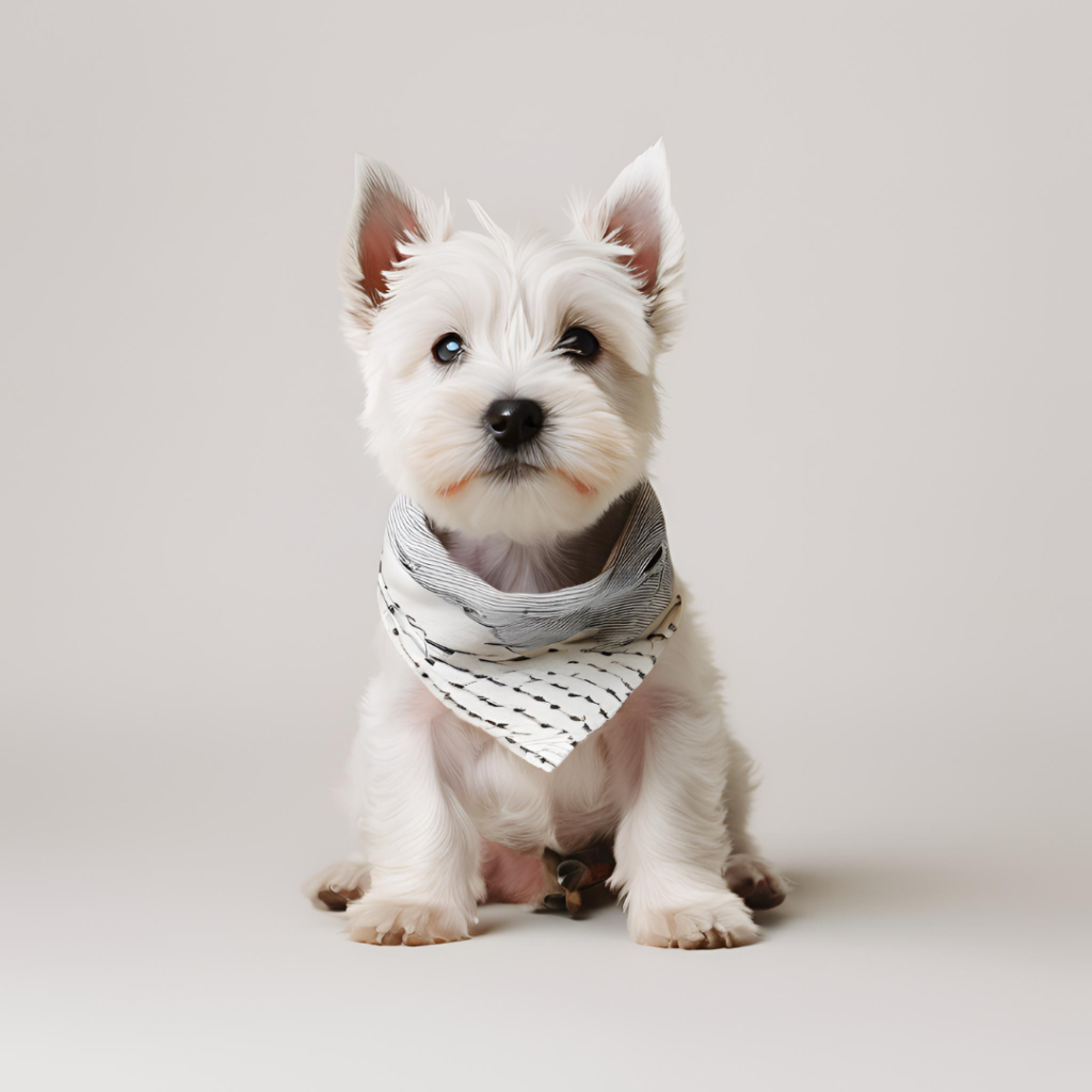 Westie